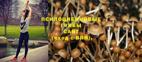 spice Пересвет