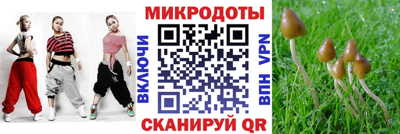 Псилоцибиновые грибы ЛСД  Щигры 